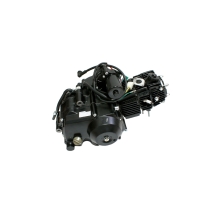 Variklis pusiau automatas ATV 110 3+R